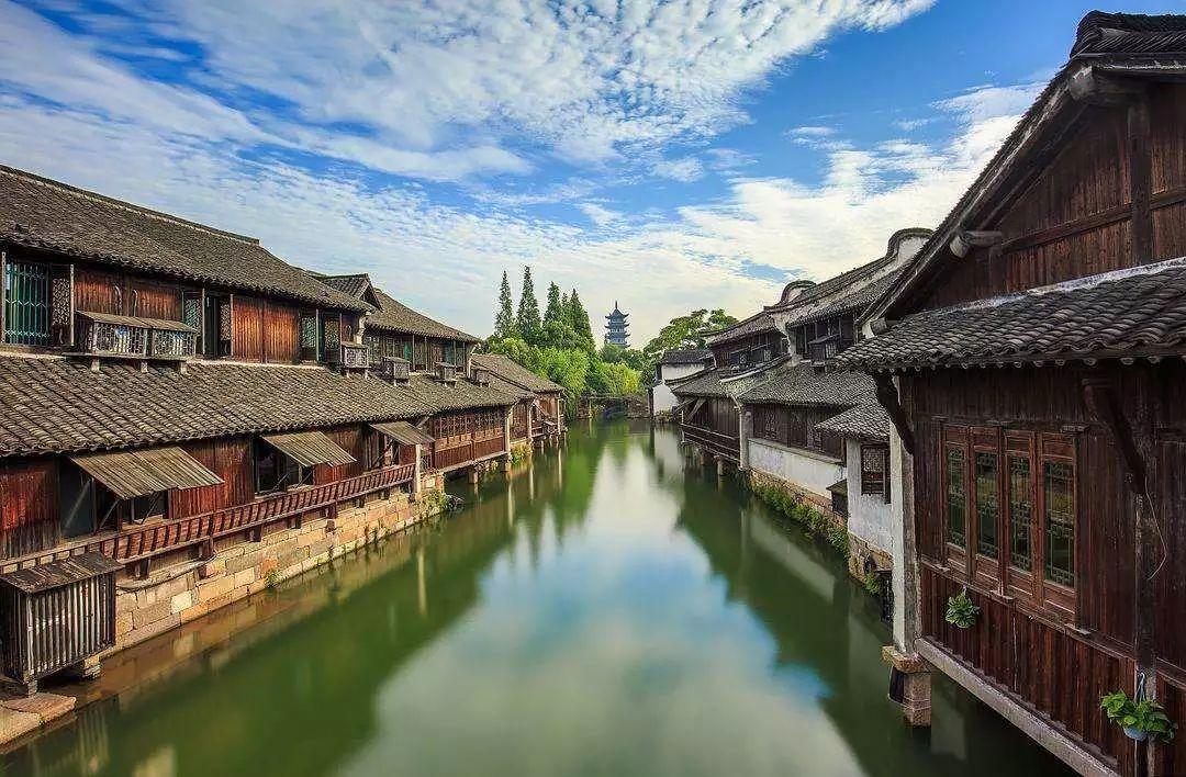 逃离神秘之林